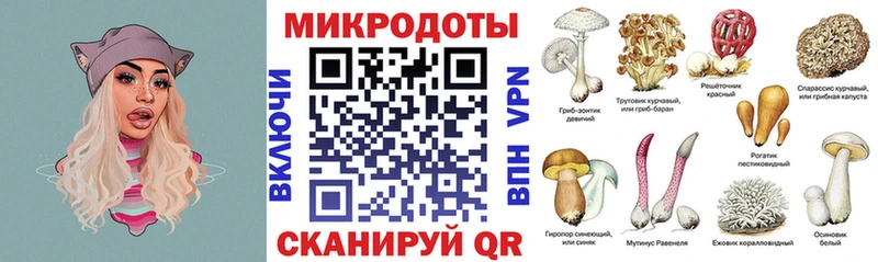 мориарти как зайти Чусовой Галлюциногенные грибы мицелий